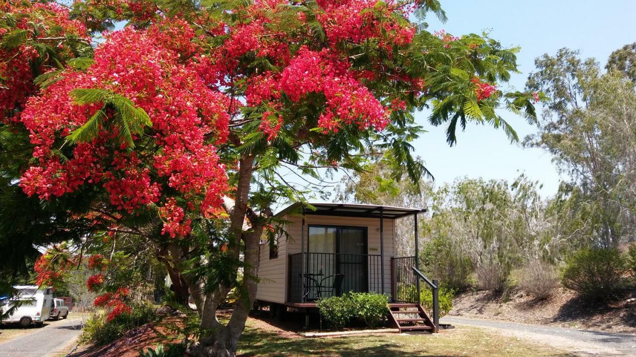 Mt Larcom Tourist Park *
